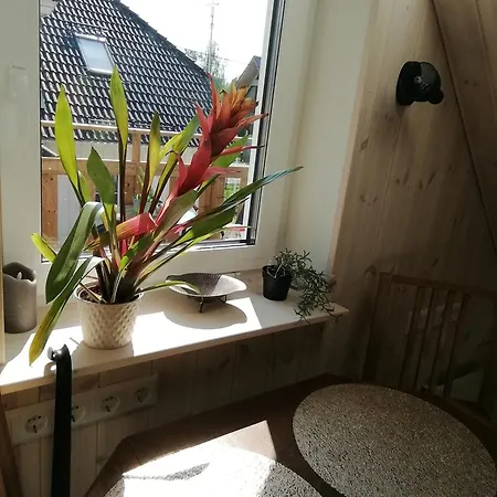 Stuudio 7,otepaeae Linn 67404,valgamaa Otepää