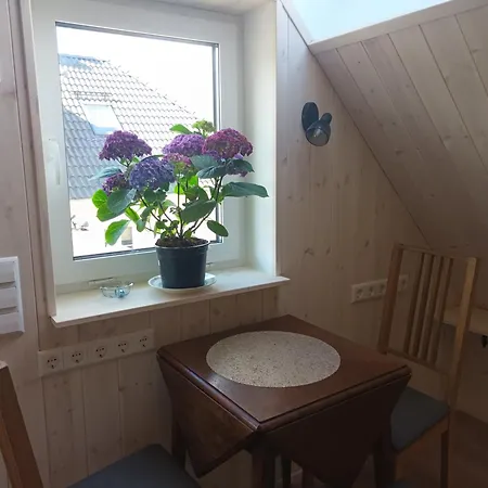 Stuudio 7,otepaeae Linn 67404,valgamaa Lägenhet