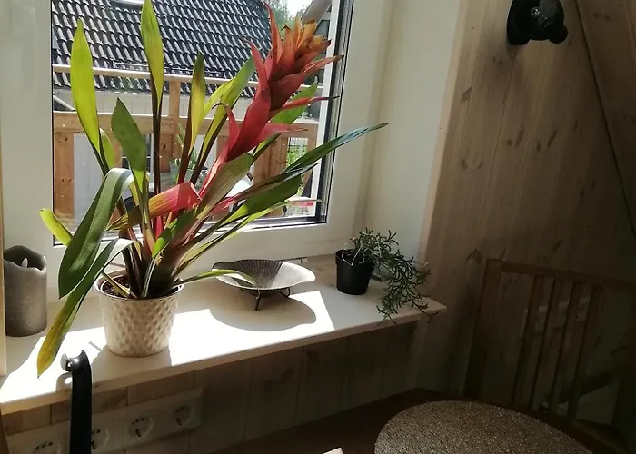 Stuudio 7,otepaeae Linn 67404,valgamaa Otepää