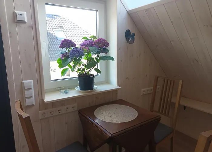 Stuudio 7,otepaeae Linn 67404,valgamaa Lägenhet